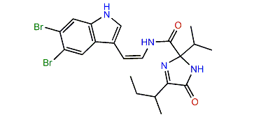 Kottamide A